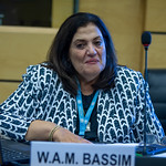 Wafaa Ashraf Moharram BASSIM