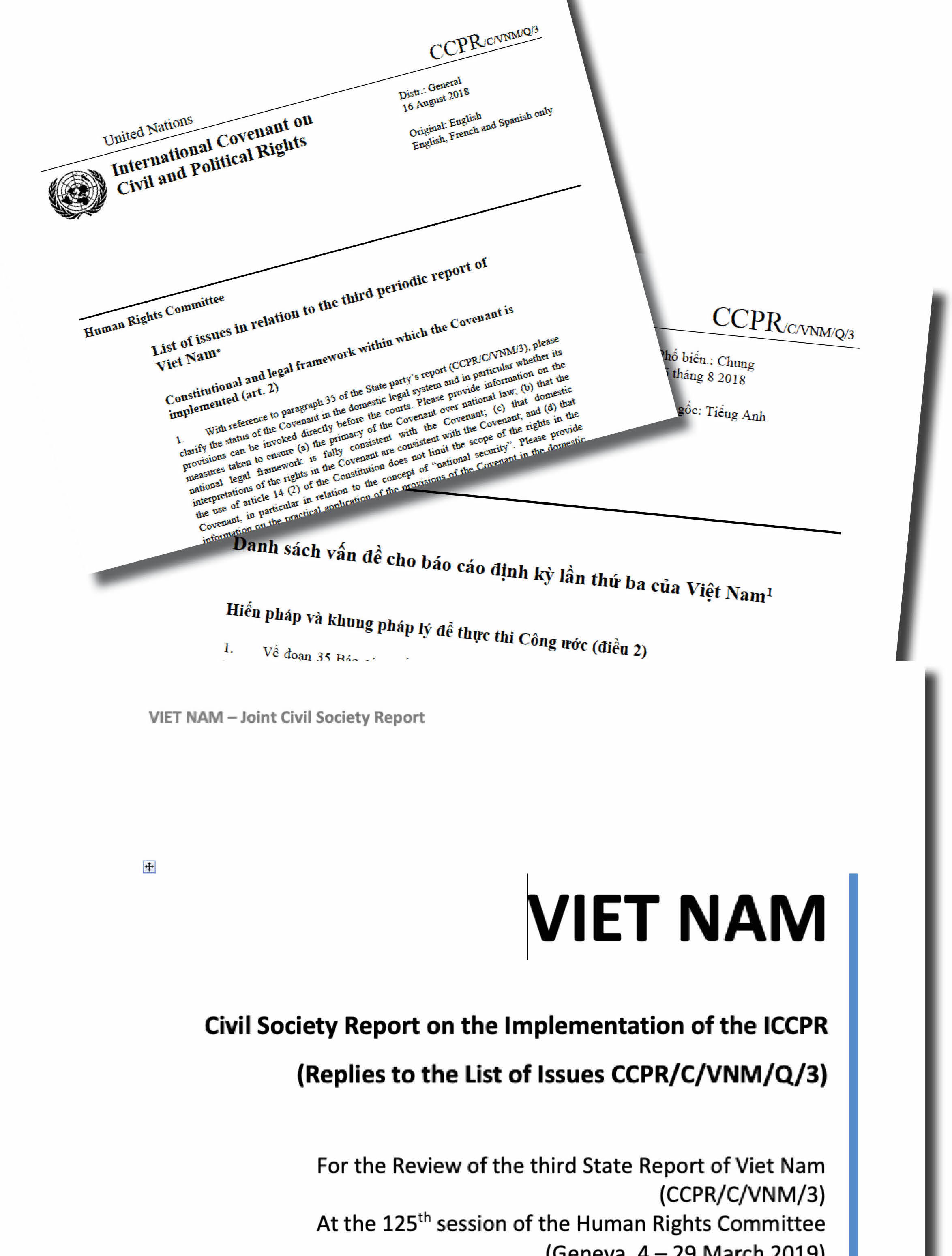 Preparing for the 3rd review of Viet Nam after 17 years