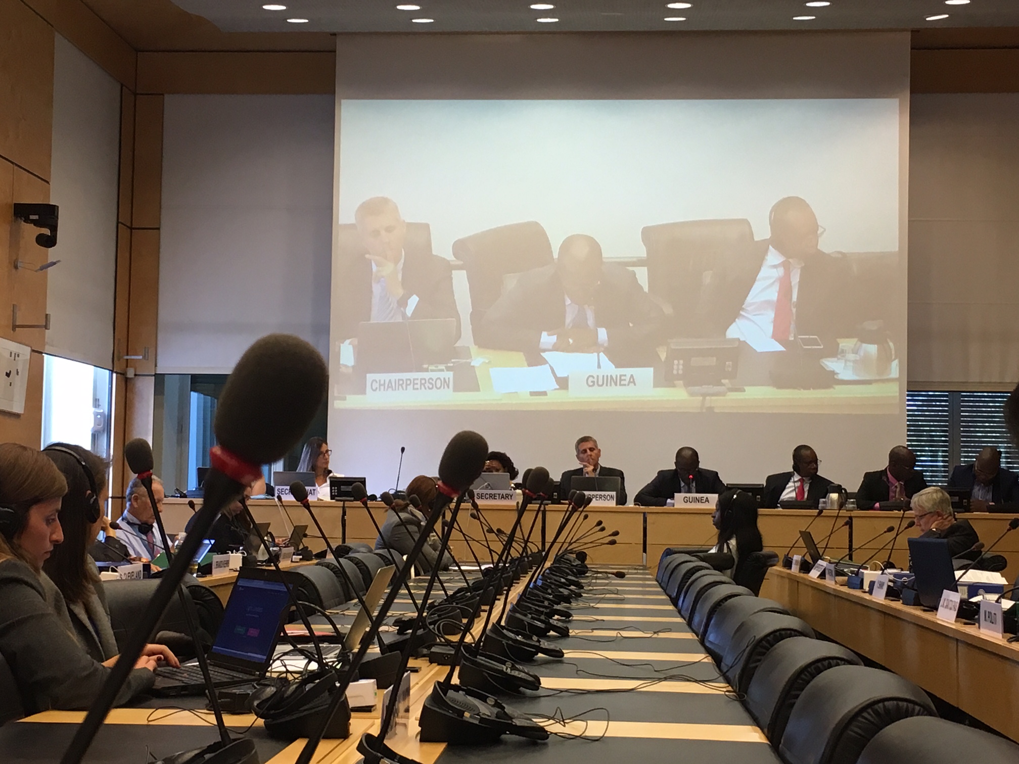 Guinea: corruption, impunity and Female Genital Mutilation among main concerns of the Committee